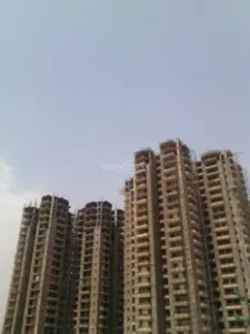 noida sector 9 