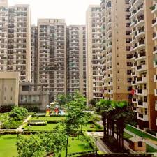 sector 31 noida	