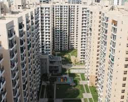 apartments for rent