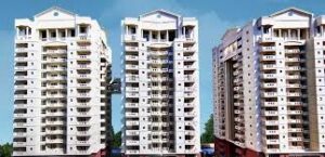 apartments for rent